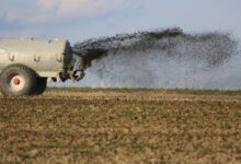 O Índice de Poder de Compra de Fertilizantes (IPCF) melhorou 12% em junho, registrando o menor patamar de 2023 e favorecendo o agricultor.